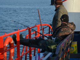 Competities HSV Alfheim